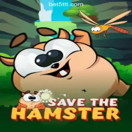 Exploring the Adventure of SavetheHamster on the 5TTT.com Platform